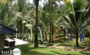 Dijual Villa Dewa Jalan Ciwa Perkutatan Jembrana Bali Bagus Lokasi Strategis Nyaman