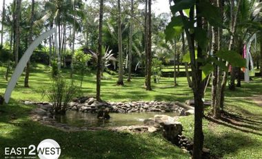 Dijual Villa Dewa Jalan Ciwa Perkutatan Jembrana Bali Bagus Lokasi Strategis Nyaman