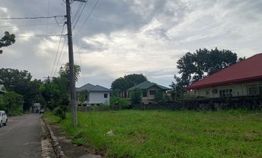 Lot for sale in Manville Royale Bacolod City