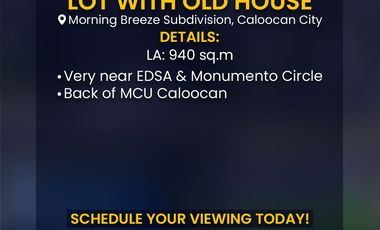 Lot with an old house in Morning Breeze Subdivision Caloocan City for Sale