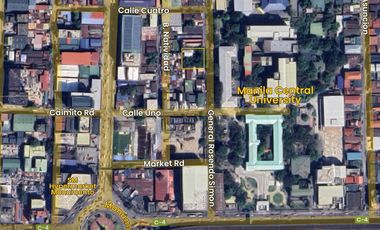 Lot with an old house in Morning Breeze Subdivision Caloocan City for Sale