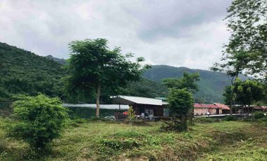 🌊✨ Business for Sale: 32-Room Floating Resort on the River Kwai, Only 16 Million Baht!! ✨🌊