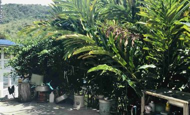 🏡 Luxury Riverside Home for Sale on the River Kwai Yai | 1 Rai | Ready to Move In | Only 15 Million Baht
📍 Near Erawan Waterfall, Kanchanaburi