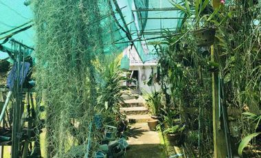 🏡 Luxury Riverside Home for Sale on the River Kwai Yai | 1 Rai | Ready to Move In | Only 15 Million Baht
📍 Near Erawan Waterfall, Kanchanaburi