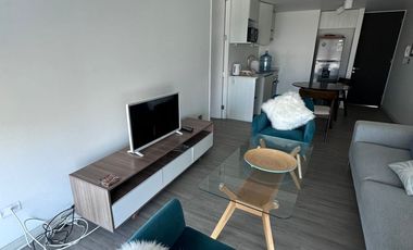 Vendo departamento amoblado, con vista la mar