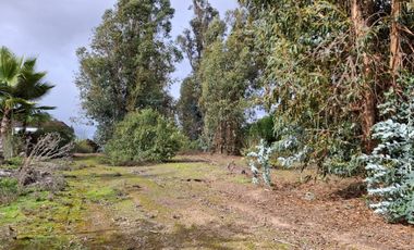 Las Cabras Terreno de 1210m2 exclusivo condominio La Penísula, El Manzano, Lago Rapel