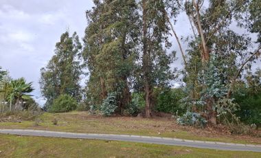 Las Cabras Terreno de 1210m2 exclusivo condominio La Penísula, El Manzano, Lago Rapel