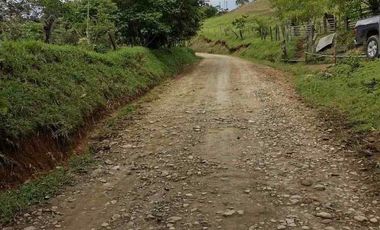 FINCA CON POTENCIAL DE PARCELACIÓN EN SECTOR  NATURAL