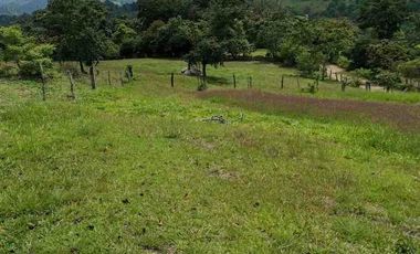 FINCA CON POTENCIAL DE PARCELACIÓN EN SECTOR  NATURAL