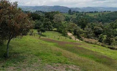 FINCA CON POTENCIAL DE PARCELACIÓN EN SECTOR  NATURAL