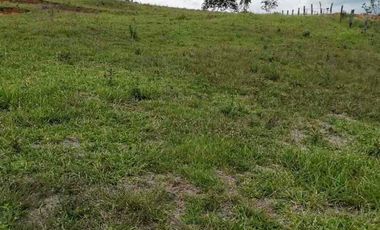 FINCA CON POTENCIAL DE PARCELACIÓN EN SECTOR  NATURAL