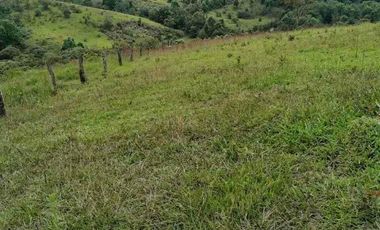 FINCA CON POTENCIAL DE PARCELACIÓN EN SECTOR  NATURAL