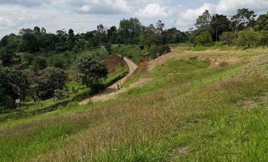 FINCA CON POTENCIAL DE PARCELACIÓN EN SECTOR  NATURAL