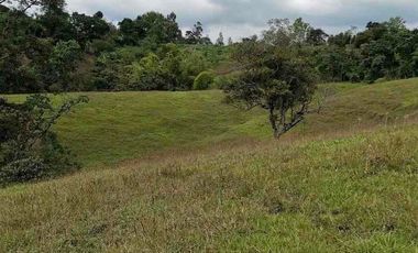 FINCA CON POTENCIAL DE PARCELACIÓN EN SECTOR  NATURAL