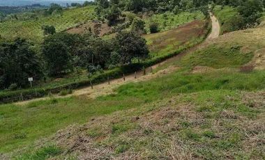 FINCA CON POTENCIAL DE PARCELACIÓN EN SECTOR  NATURAL