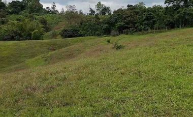 FINCA CON POTENCIAL DE PARCELACIÓN EN SECTOR  NATURAL