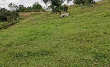 FINCA CON POTENCIAL DE PARCELACIÓN EN SECTOR  NATURAL