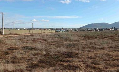 SE VENDE TERRENO EN LOS TRIGALES GUANAQUEROS