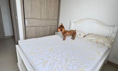 Venta apartamento en Jamundi