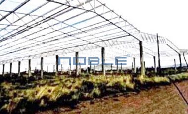 Propiedad Industrial Venta  - Ciudad Sahagún