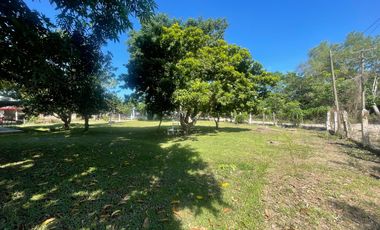 Terreno en venta. Tierra Amarilla. Villahermosa Tabasco.