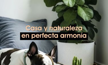 SE VENDE DEPARTAMENTO EN CALLE EJERCITO NACIONAL POLANCO MIGUEL HIDALGO CDMX MMDO