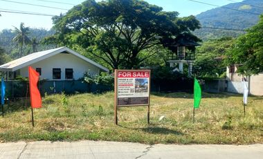 Modern Farmhouse, FOR SALE Puerto Galera