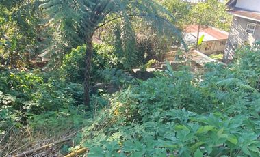 214 sqm Residential Lot for Sale in Richview Square Subd., Baguio City