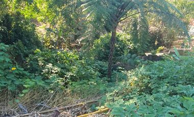 214 sqm Residential Lot for Sale in Richview Square Subd., Baguio City