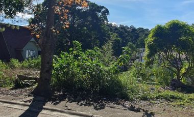 214 sqm Residential Lot for Sale in Richview Square Subd., Baguio City