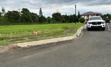 363 sqm Lot for Sale at Kew Gardens, Tagaytay Midlands