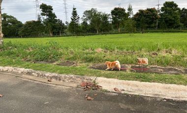 363 sqm Lot for Sale at Kew Gardens, Tagaytay Midlands
