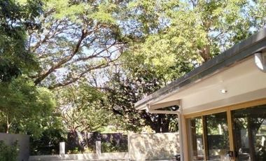 350 sqm 4BR Bungalow House for Rent at Ayala Alabang Village, Muntinlupa City