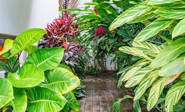 For Sale: Exclusive Luxury Villa with Infinity Pool & Breathtaking Views – Busay, Cebu City