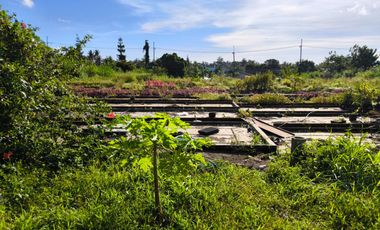 Lot for sale at Talon, Amadeo