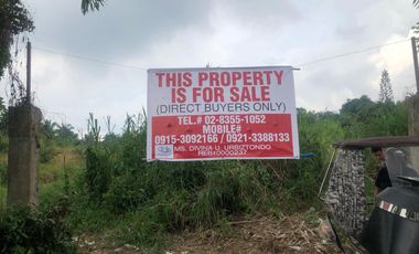 Lot for sale at Talon, Amadeo