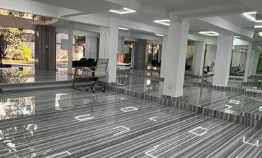 LOCAL COMERCIAL CON OFICINAS