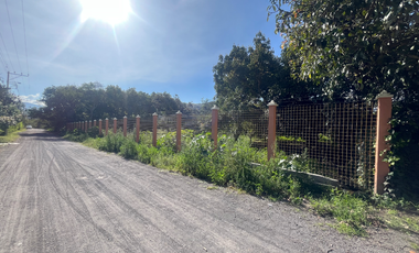 Se renta terreno con producción agrícola en Guayllabamba