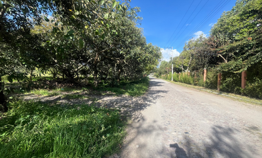 Se renta terreno con producción agrícola en Guayllabamba