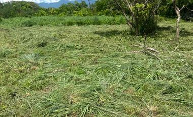OFERTA SALE Terreno a 5 minutos del mar cerca de la Saladita