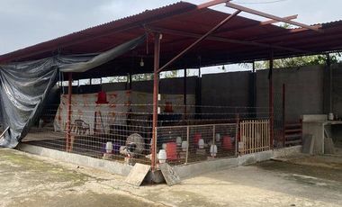 Galpón para criadero de pollos EN SANTA ROSA