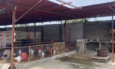 Galpón para criadero de pollos EN SANTA ROSA