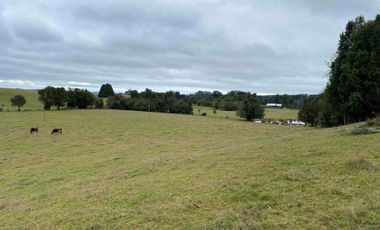 Hermosa parcela con casa en comuna de Los Muermos