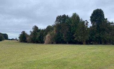Hermosa parcela con casa en comuna de Los Muermos