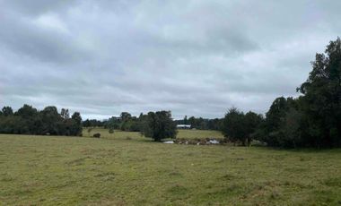 Hermosa parcela con casa en comuna de Los Muermos