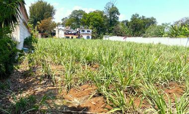 Venta de Terreno plano a solo 100m de la carretera Coatepec - Las Trancas, en la periferia de la Cd. Coatepec