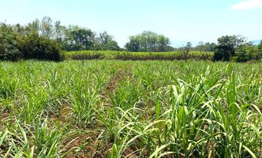 Venta de Terreno plano a solo 100m de la carretera Coatepec - Las Trancas, en la periferia de la Cd. Coatepec