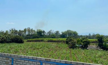 Venta de Terreno plano a solo 100m de la carretera Coatepec - Las Trancas, en la periferia de la Cd. Coatepec