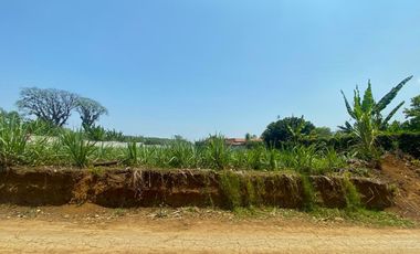 Venta de Terreno plano a solo 100m de la carretera Coatepec - Las Trancas, en la periferia de la Cd. Coatepec