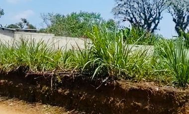 Venta de Terreno plano a solo 100m de la carretera Coatepec - Las Trancas, en la periferia de la Cd. Coatepec